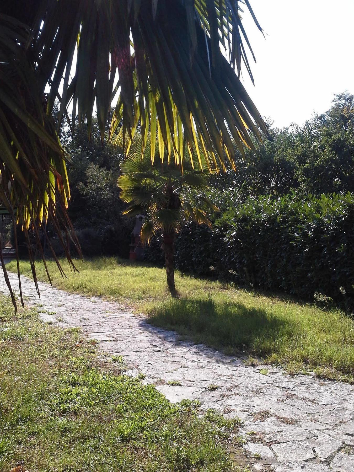 I Giardini Di Capodimonte 2 Bed and Breakfast Νάπολη Εξωτερικό φωτογραφία